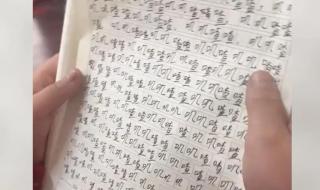 描写小草的小作文300字 300字小作文