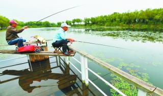 武汉十大免费钓鱼地点 武汉钓鱼圈